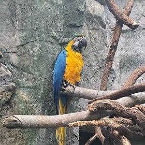 Meet your Posher, Jayde